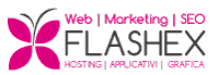 Flashex Web Agency